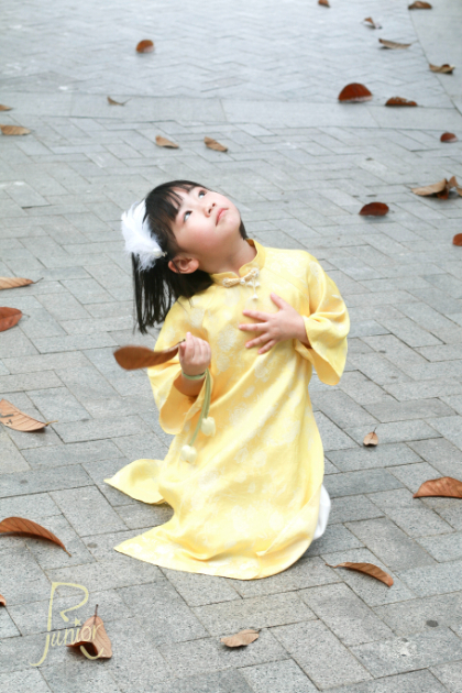 Áo Dài R Hoàng Diệp